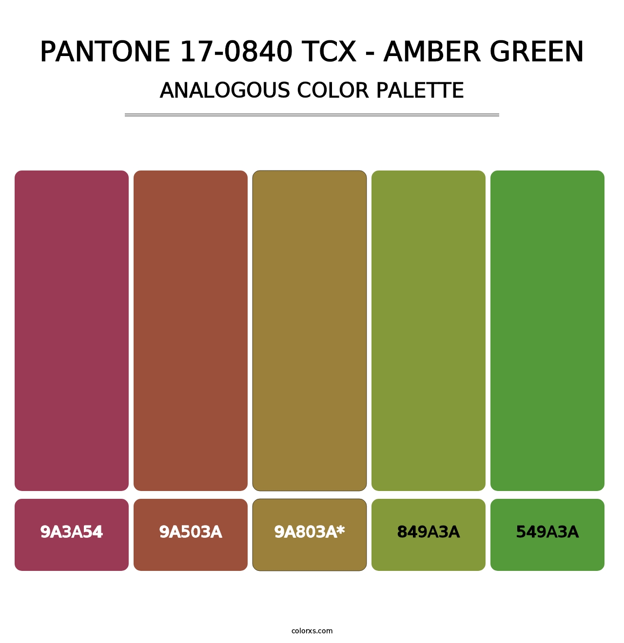 PANTONE 17-0840 TCX - Amber Green - Analogous Color Palette