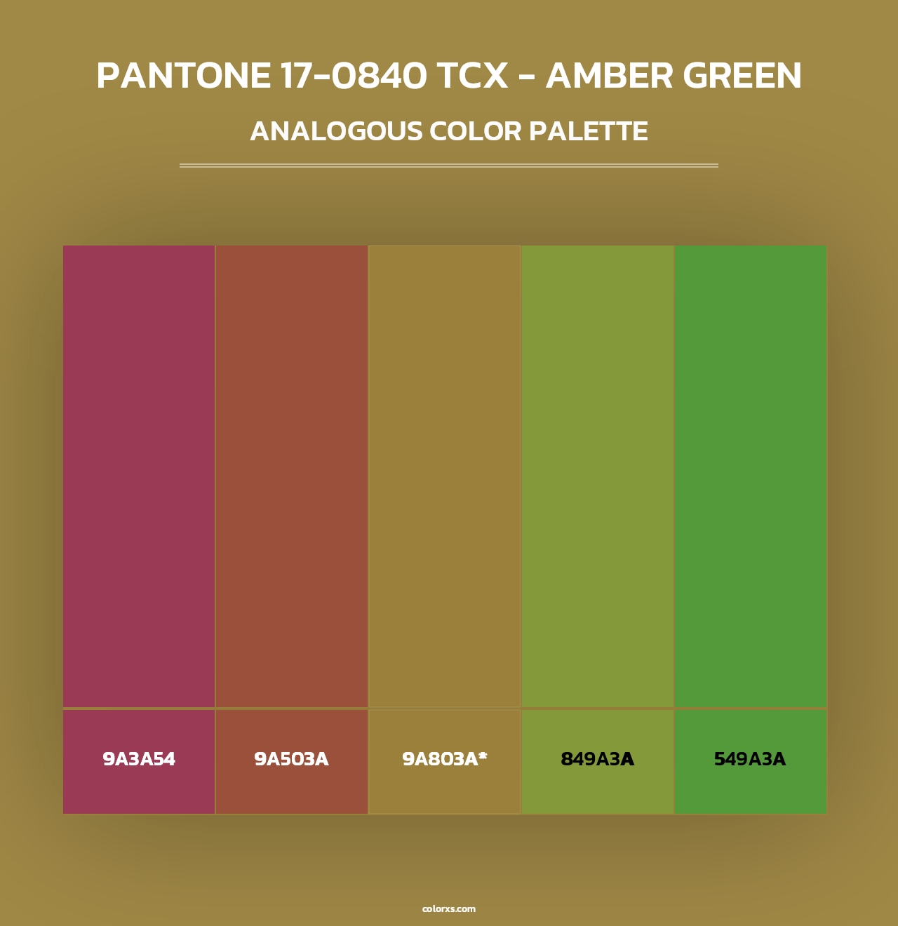 PANTONE 17-0840 TCX - Amber Green - Analogous Color Palette