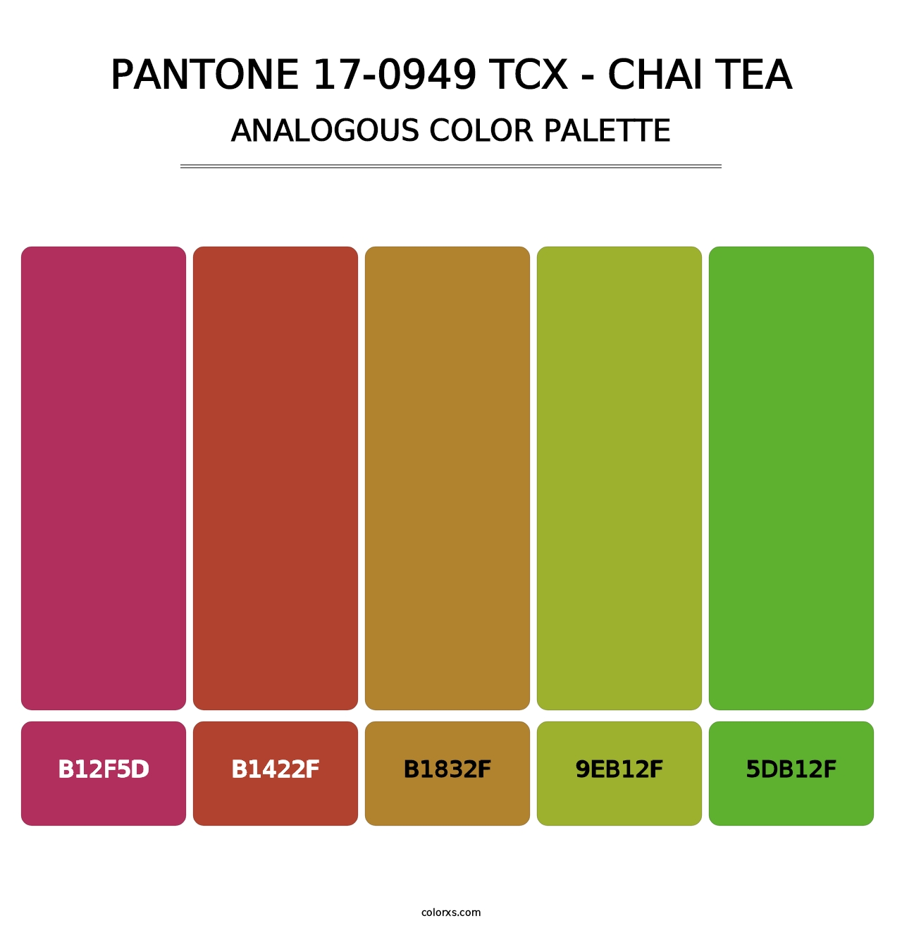 PANTONE 17-0949 TCX - Chai Tea - Analogous Color Palette
