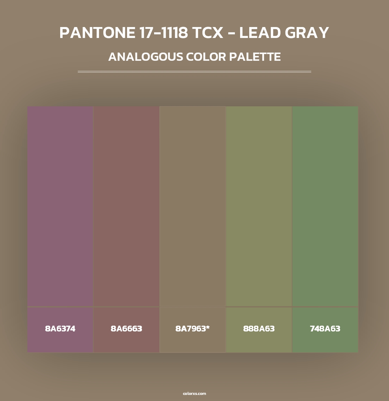 PANTONE 17-1118 TCX - Lead Gray - Analogous Color Palette