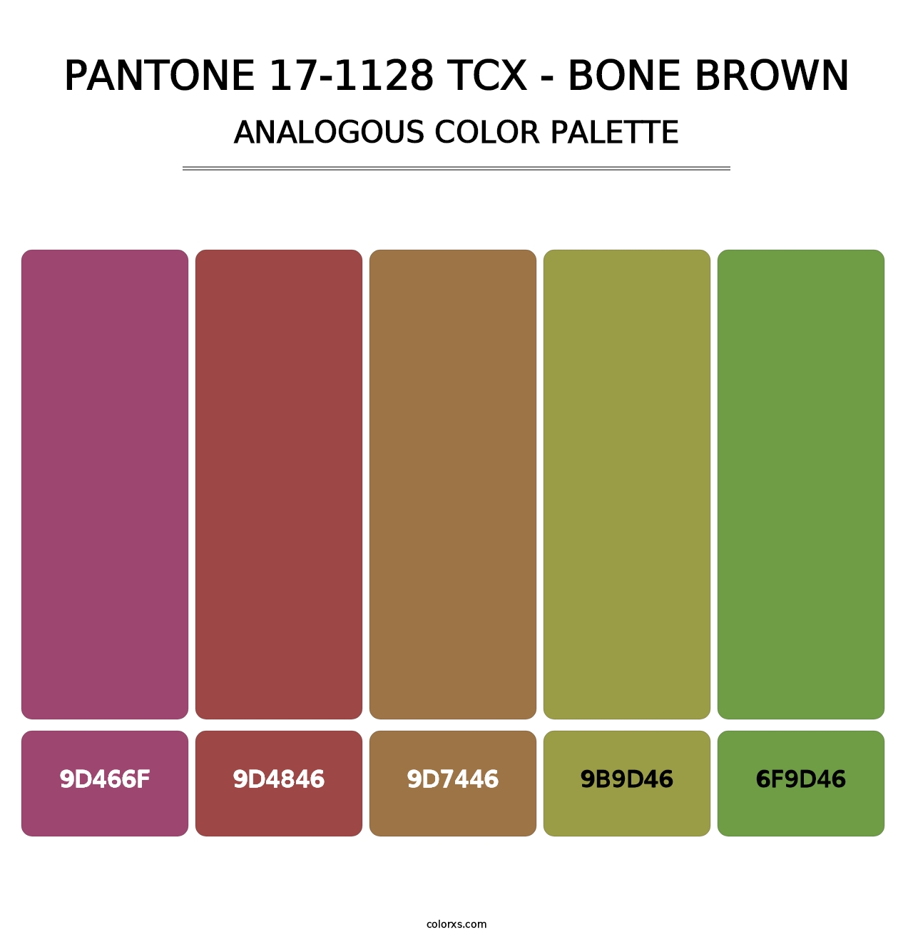 PANTONE 17-1128 TCX - Bone Brown - Analogous Color Palette