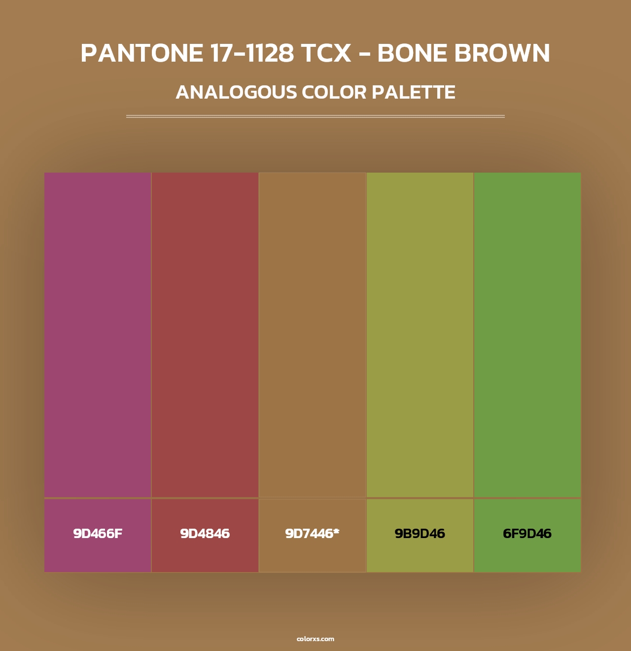 PANTONE 17-1128 TCX - Bone Brown - Analogous Color Palette