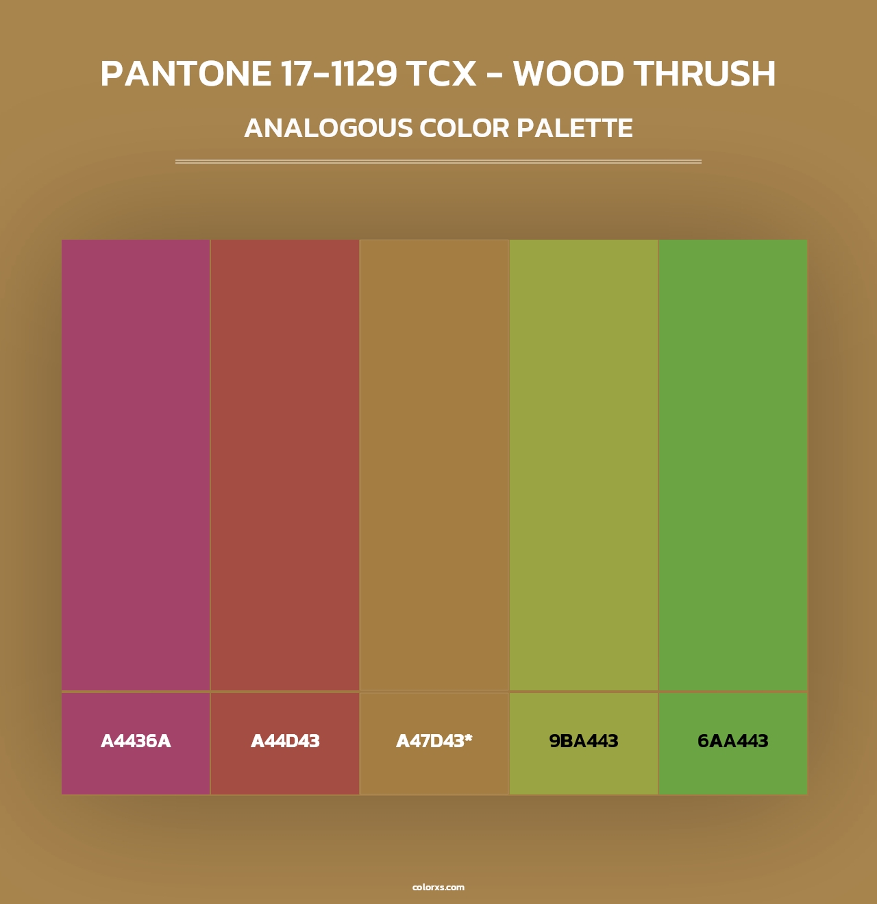 PANTONE 17-1129 TCX - Wood Thrush - Analogous Color Palette