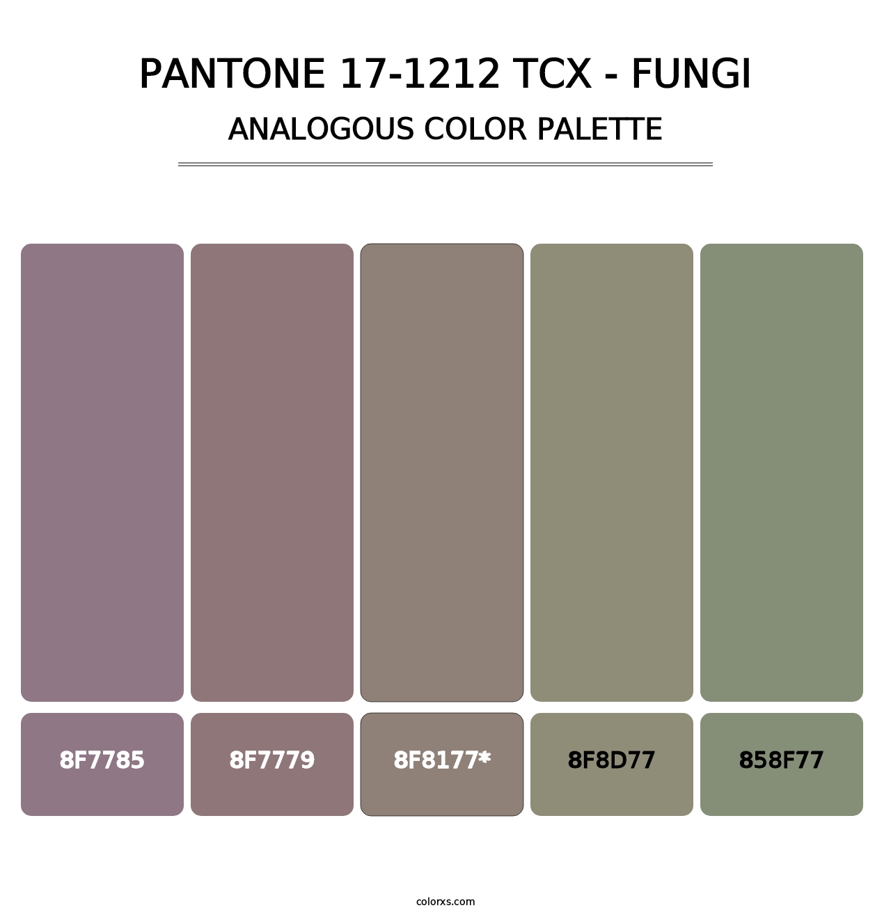 PANTONE 17-1212 TCX - Fungi - Analogous Color Palette