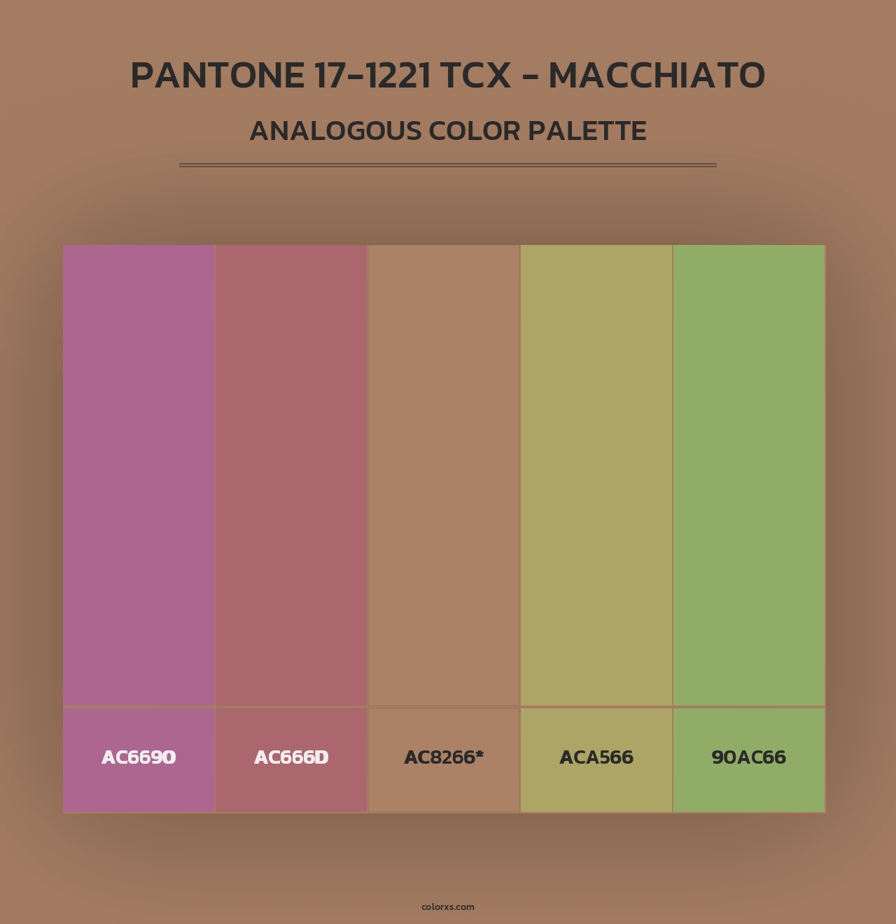 PANTONE 17-1221 TCX - Macchiato - Analogous Color Palette