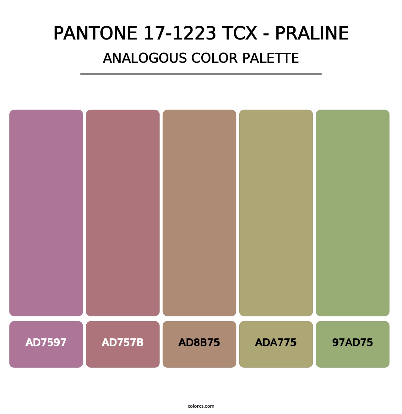 PANTONE 17-1223 TCX - Praline - Analogous Color Palette