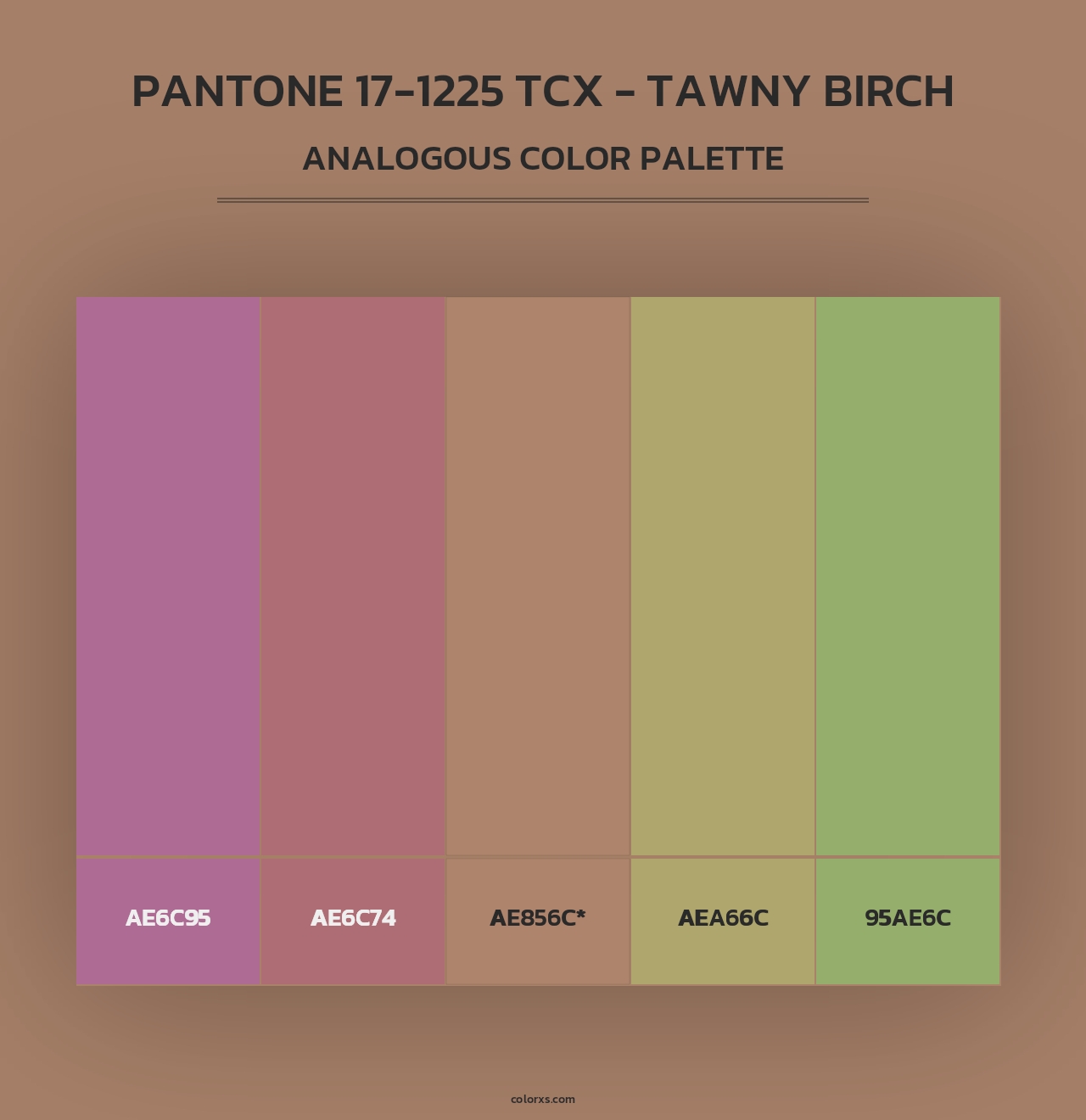 PANTONE 17-1225 TCX - Tawny Birch - Analogous Color Palette