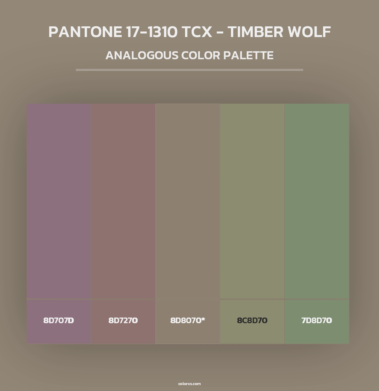 PANTONE 17-1310 TCX - Timber Wolf - Analogous Color Palette