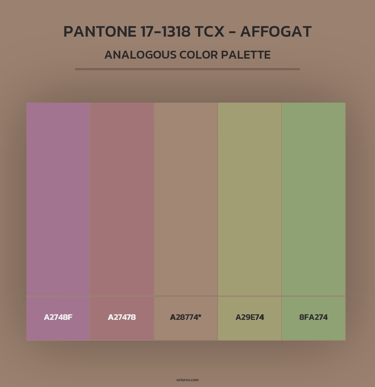 PANTONE 17-1318 TCX - Affogat - Analogous Color Palette