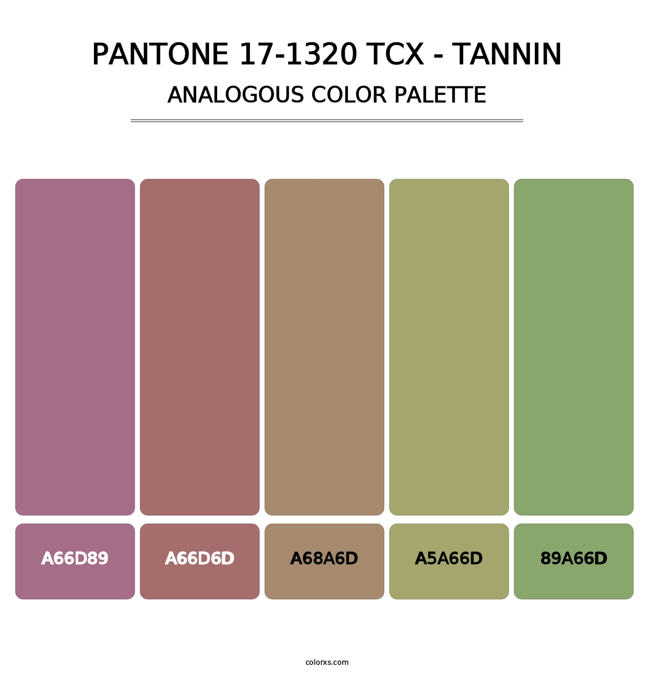 PANTONE 17-1320 TCX - Tannin - Analogous Color Palette