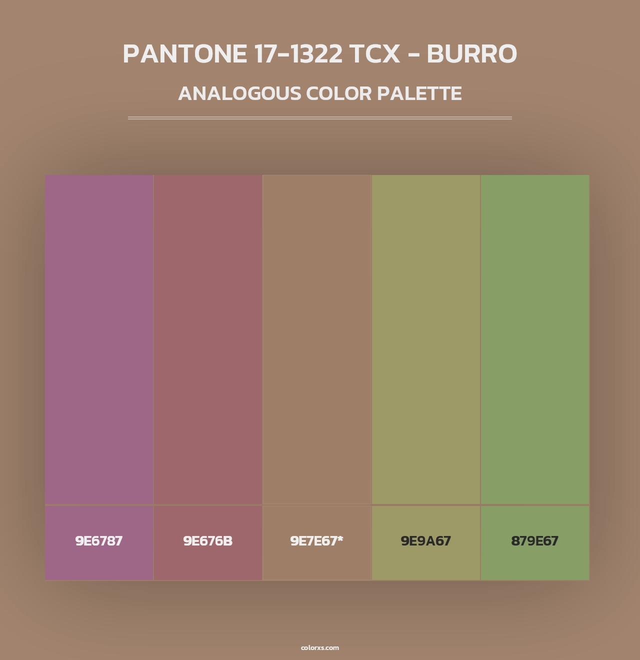 PANTONE 17-1322 TCX - Burro - Analogous Color Palette