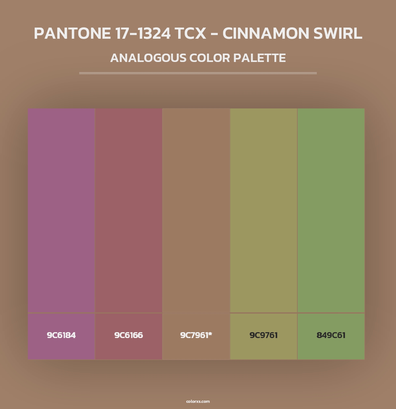 PANTONE 17-1324 TCX - Cinnamon Swirl - Analogous Color Palette