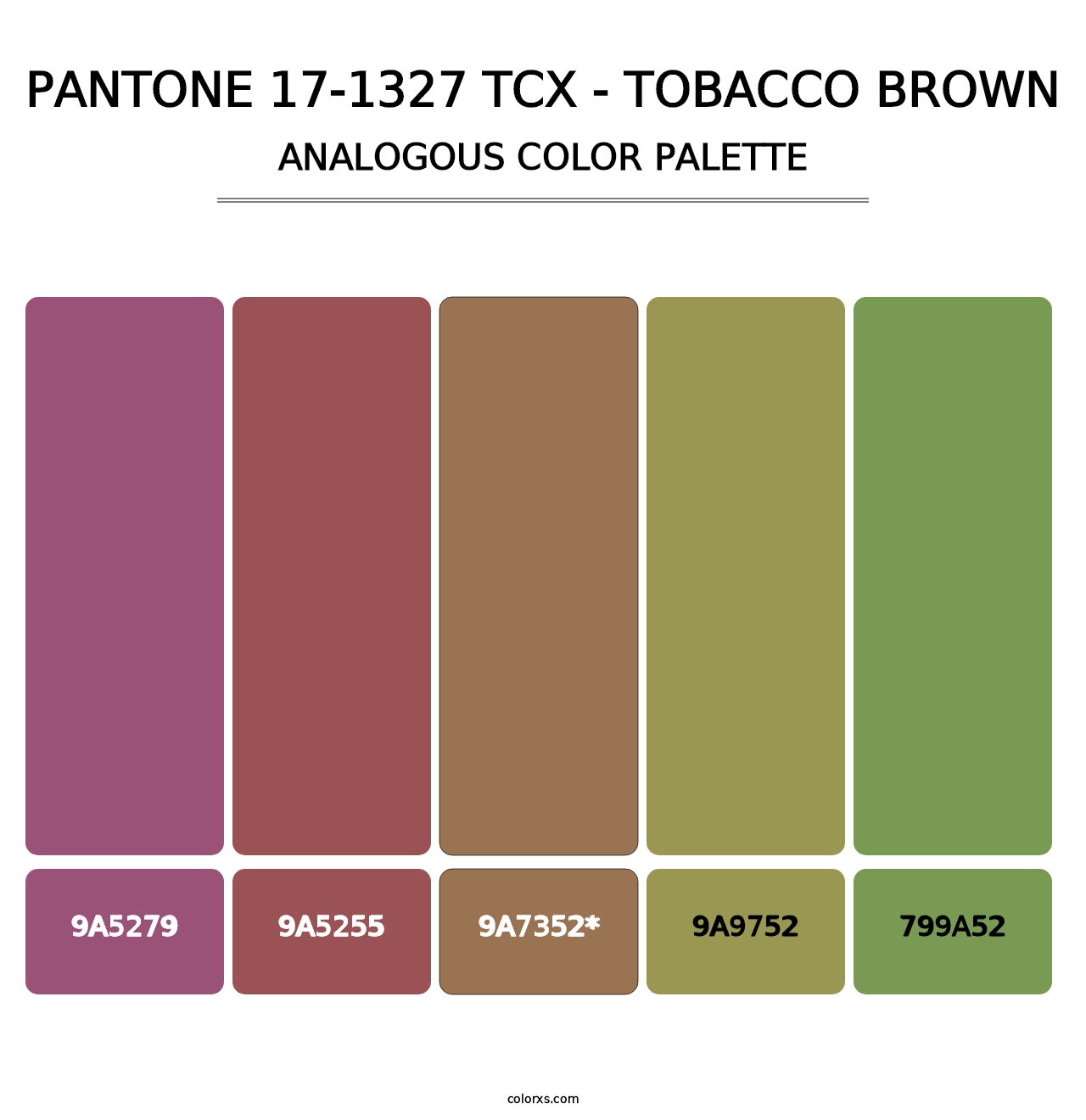 PANTONE 17-1327 TCX - Tobacco Brown - Analogous Color Palette