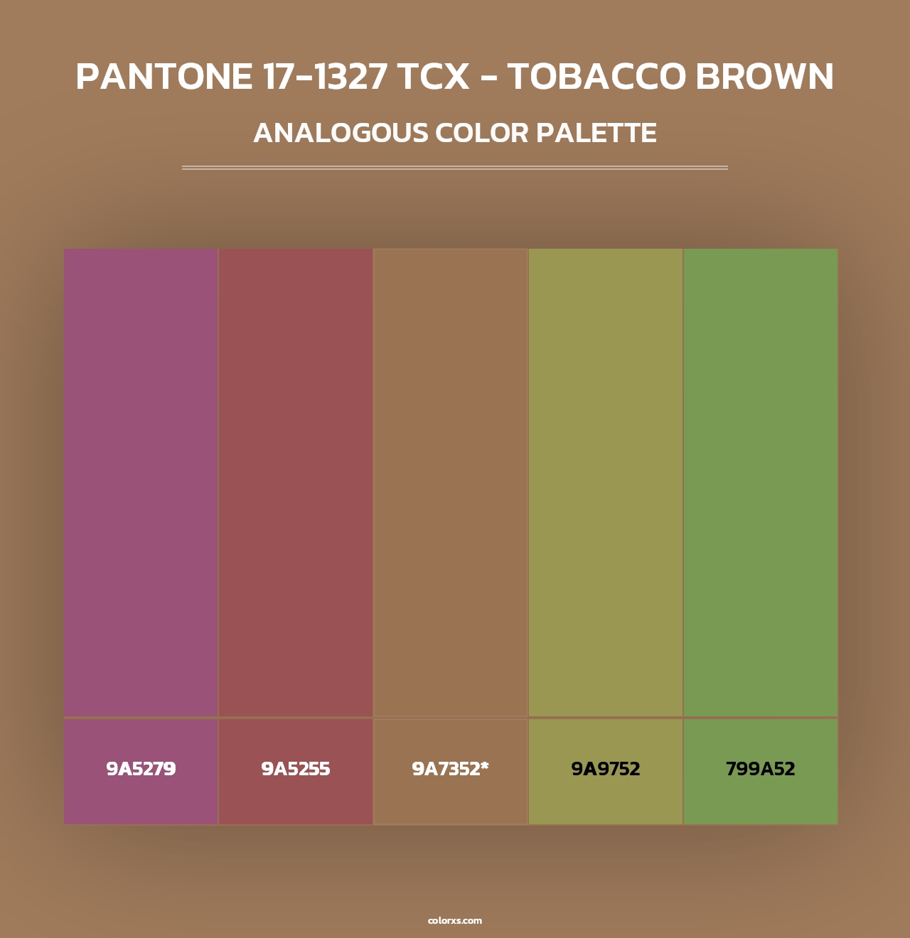 PANTONE 17-1327 TCX - Tobacco Brown - Analogous Color Palette