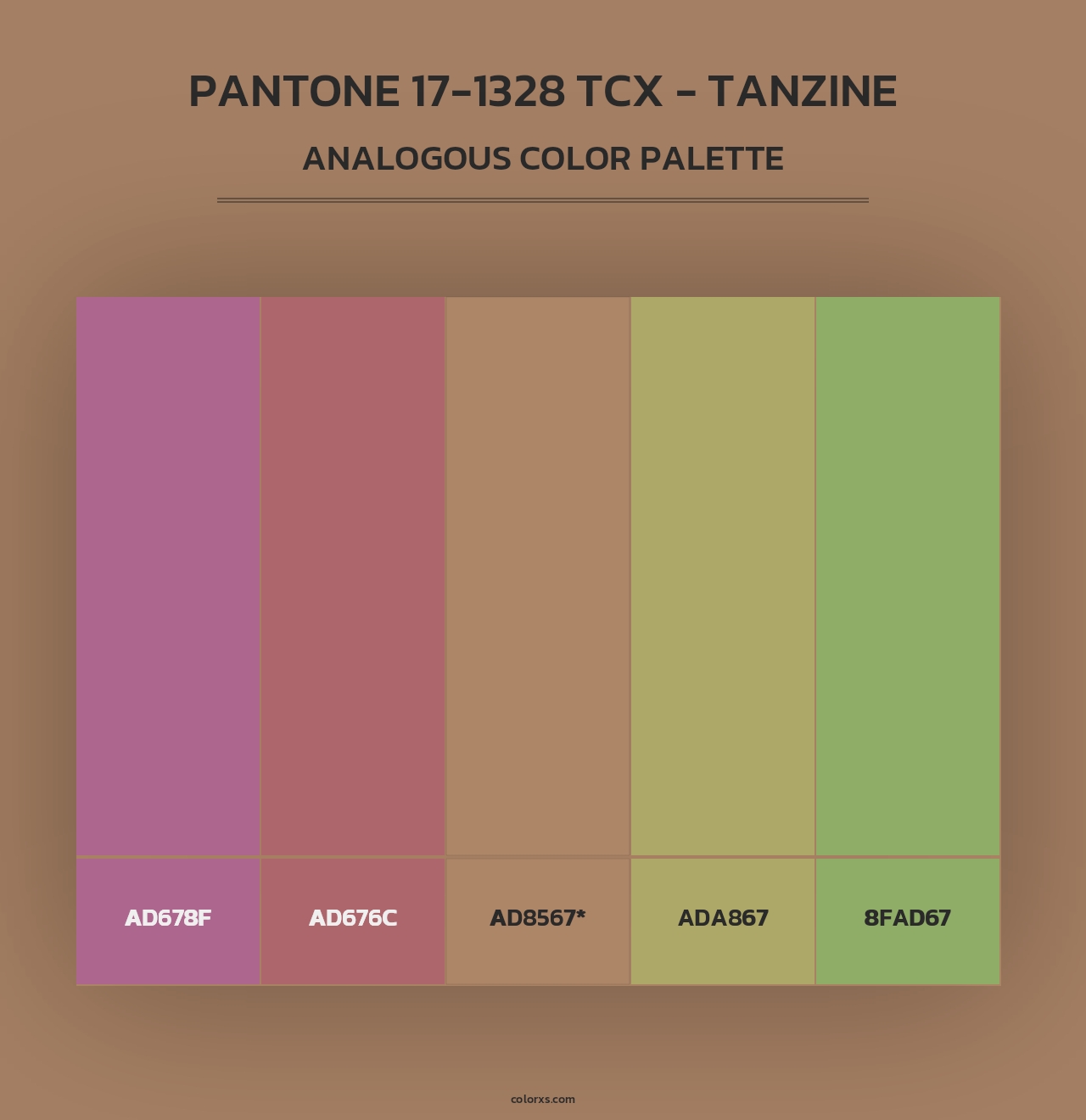 PANTONE 17-1328 TCX - Tanzine - Analogous Color Palette