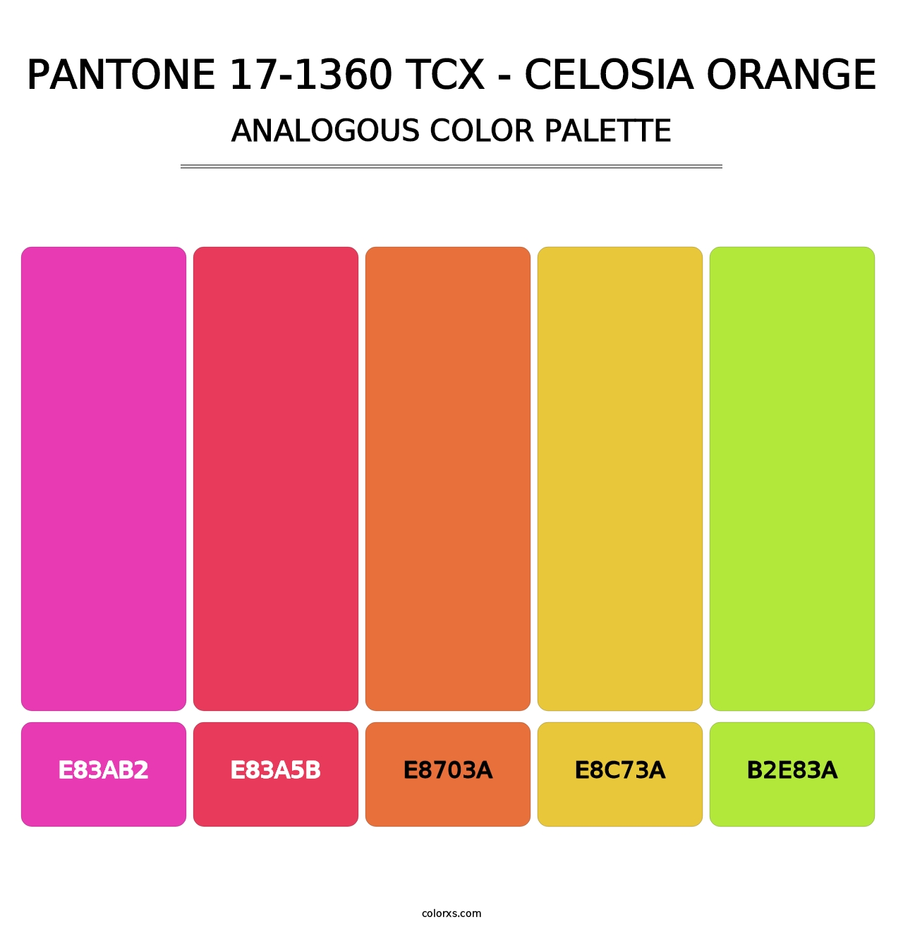 PANTONE 17-1360 TCX - Celosia Orange - Analogous Color Palette