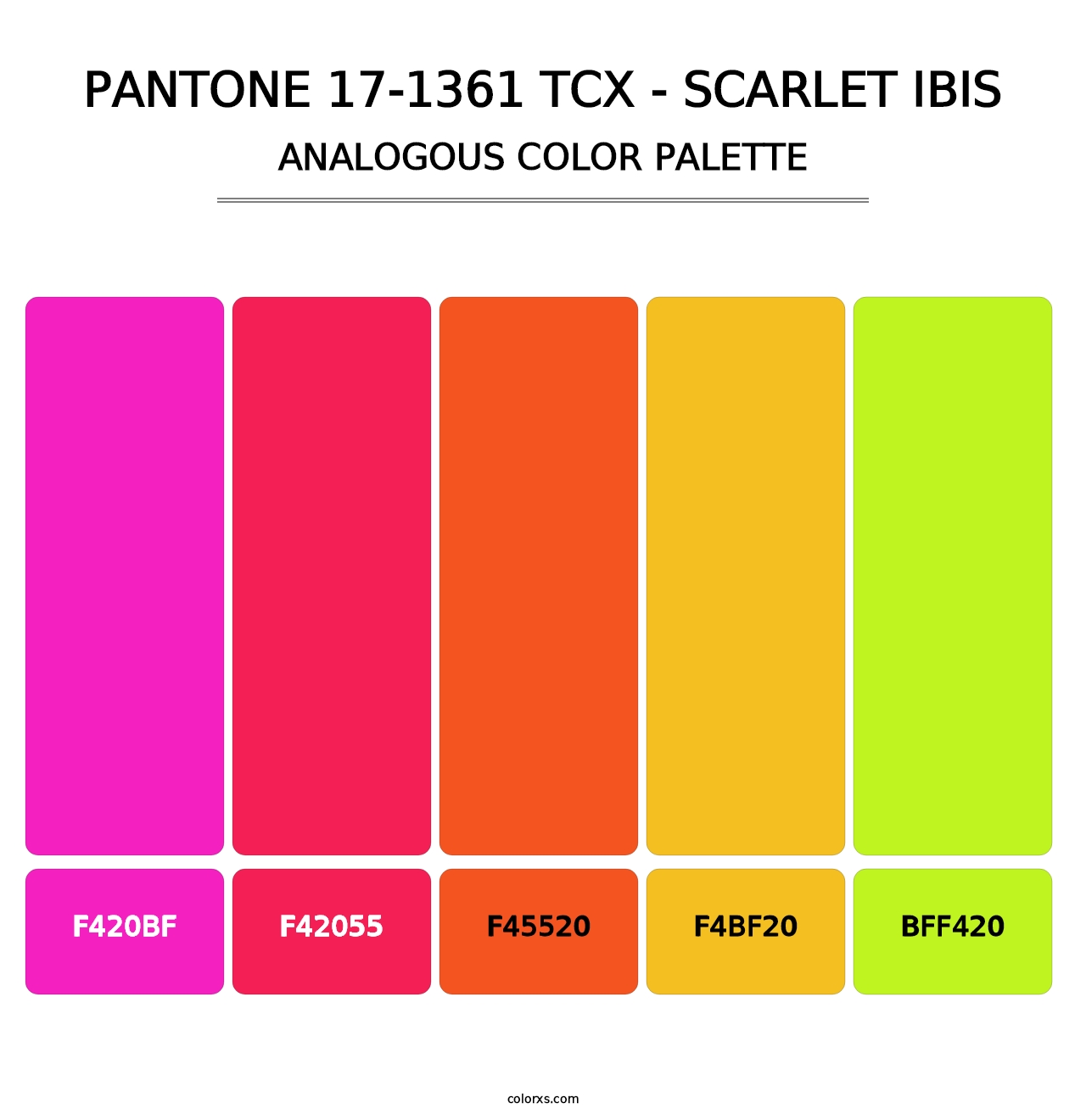 PANTONE 17-1361 TCX - Scarlet Ibis - Analogous Color Palette