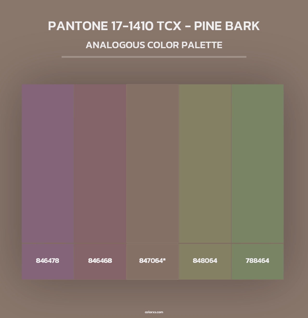 PANTONE 17-1410 TCX - Pine Bark - Analogous Color Palette