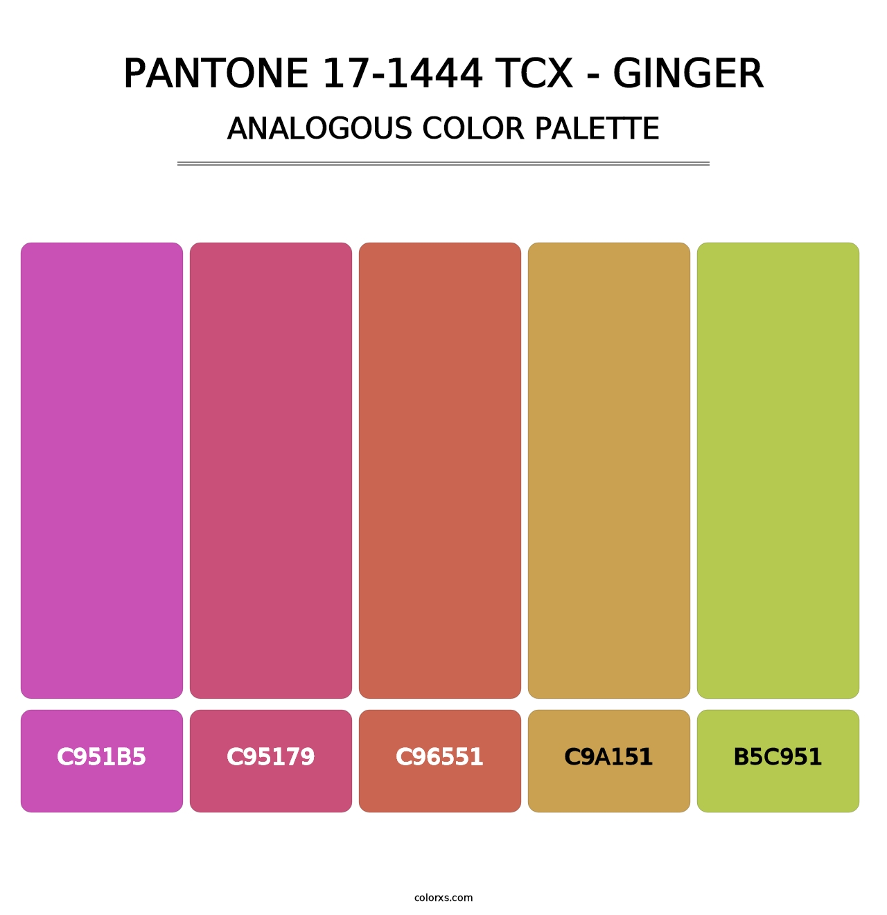 PANTONE 17-1444 TCX - Ginger - Analogous Color Palette