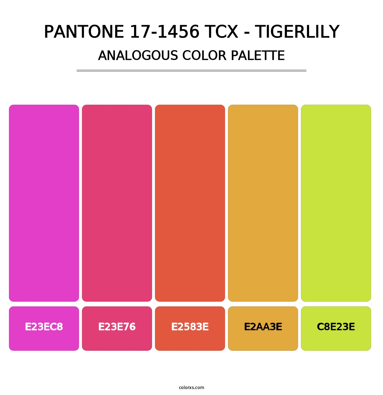 PANTONE 17-1456 TCX - Tigerlily - Analogous Color Palette