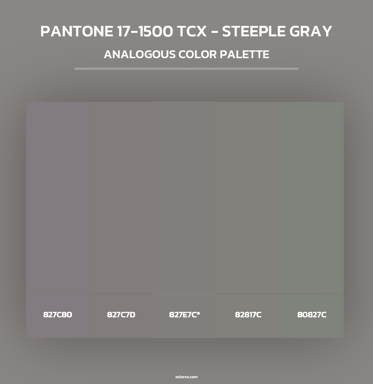 PANTONE 17-1500 TCX - Steeple Gray - Analogous Color Palette