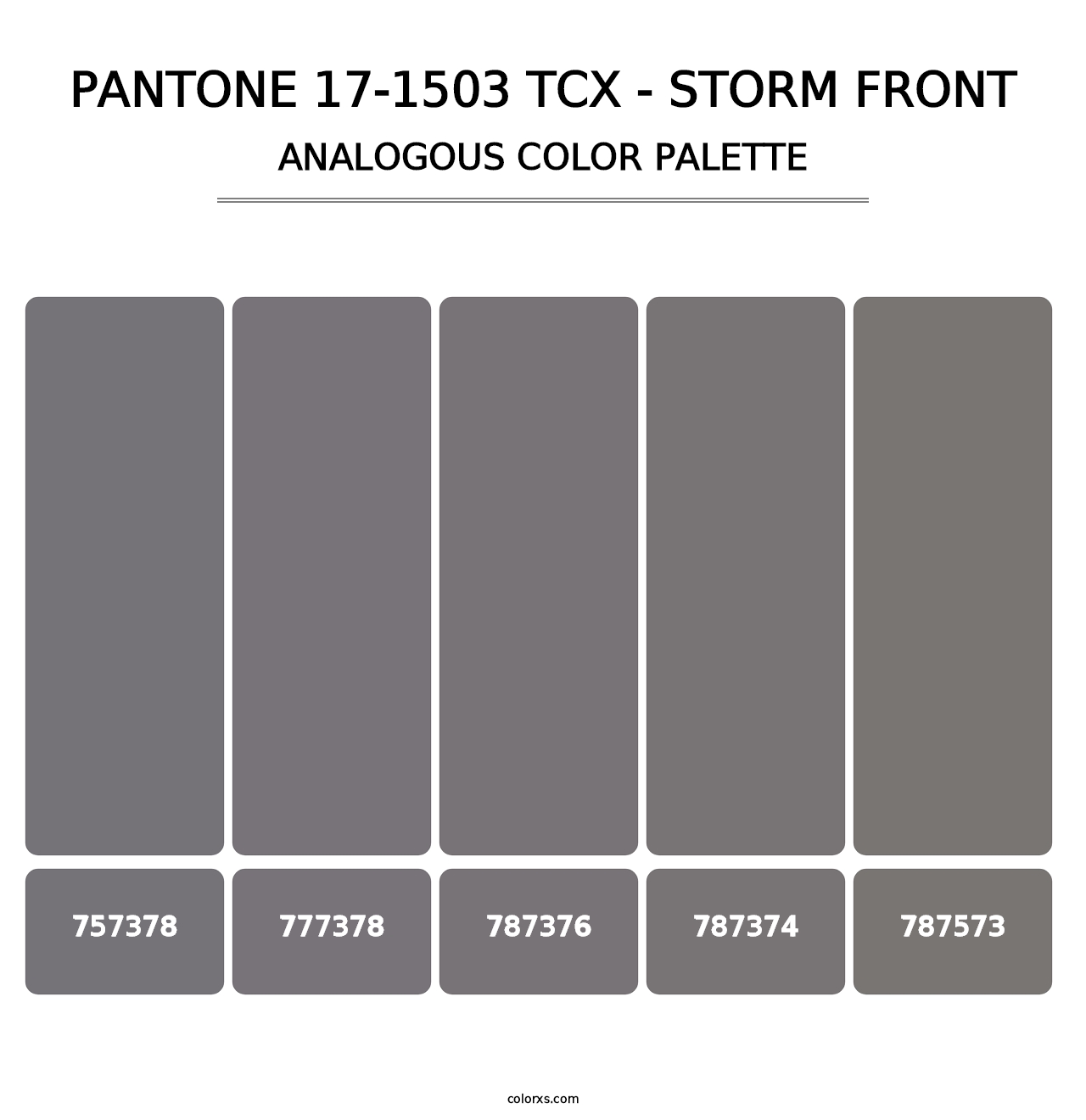 PANTONE 17-1503 TCX - Storm Front - Analogous Color Palette