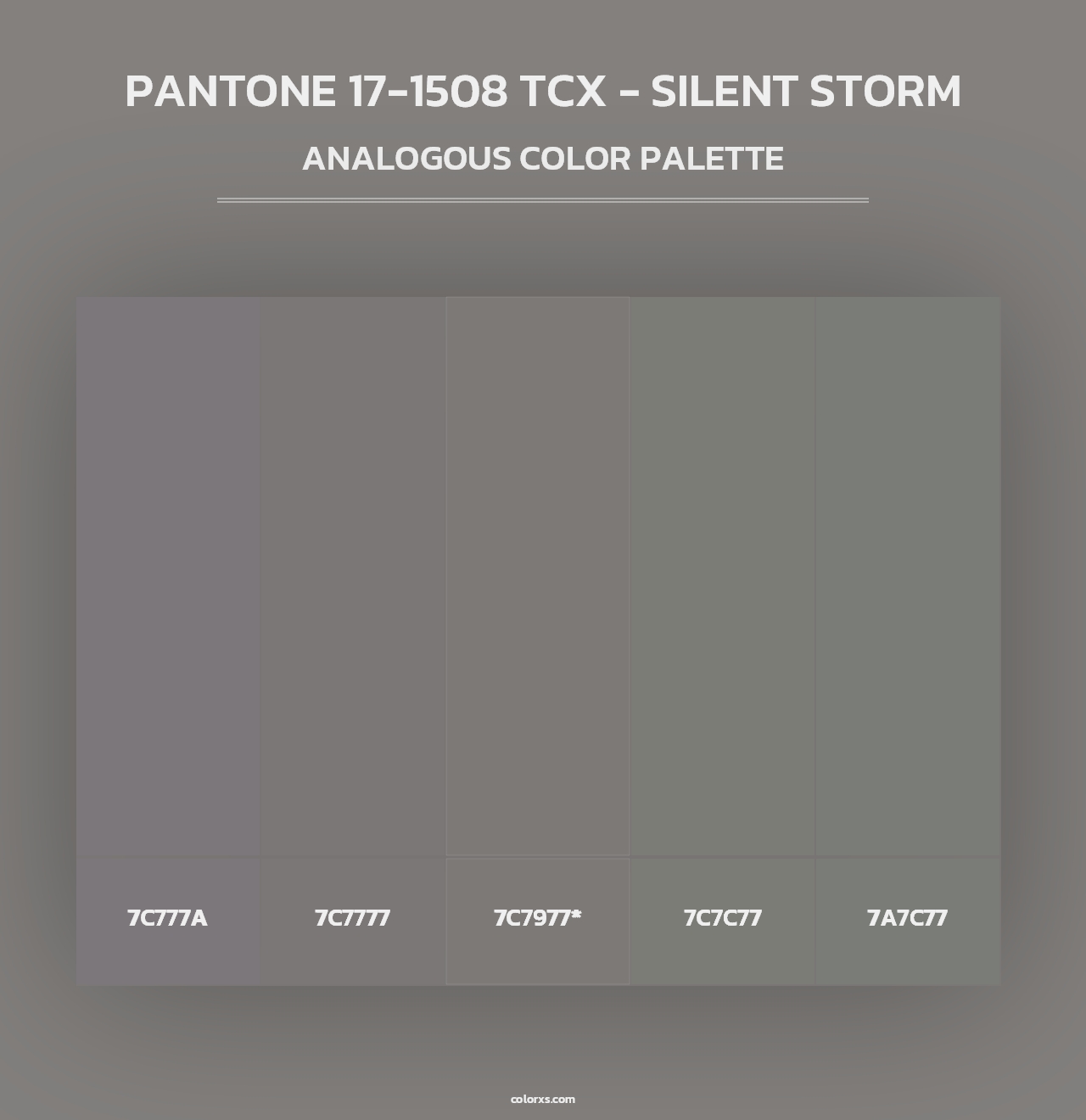PANTONE 17-1508 TCX - Silent Storm - Analogous Color Palette