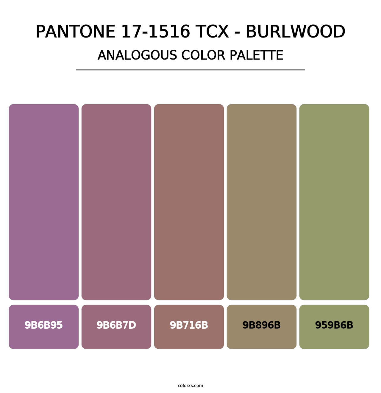 PANTONE 17-1516 TCX - Burlwood - Analogous Color Palette