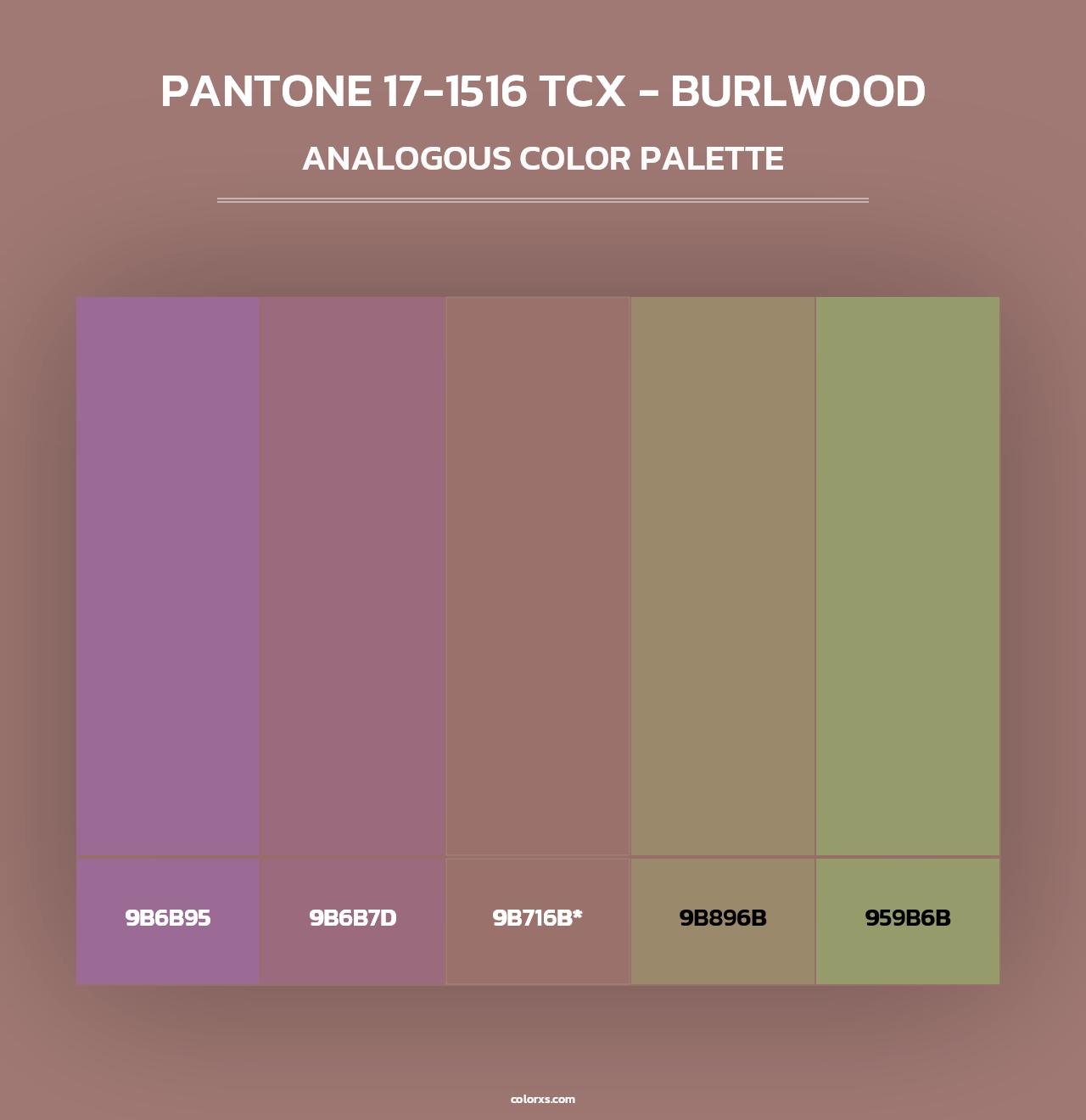 PANTONE 17-1516 TCX - Burlwood - Analogous Color Palette
