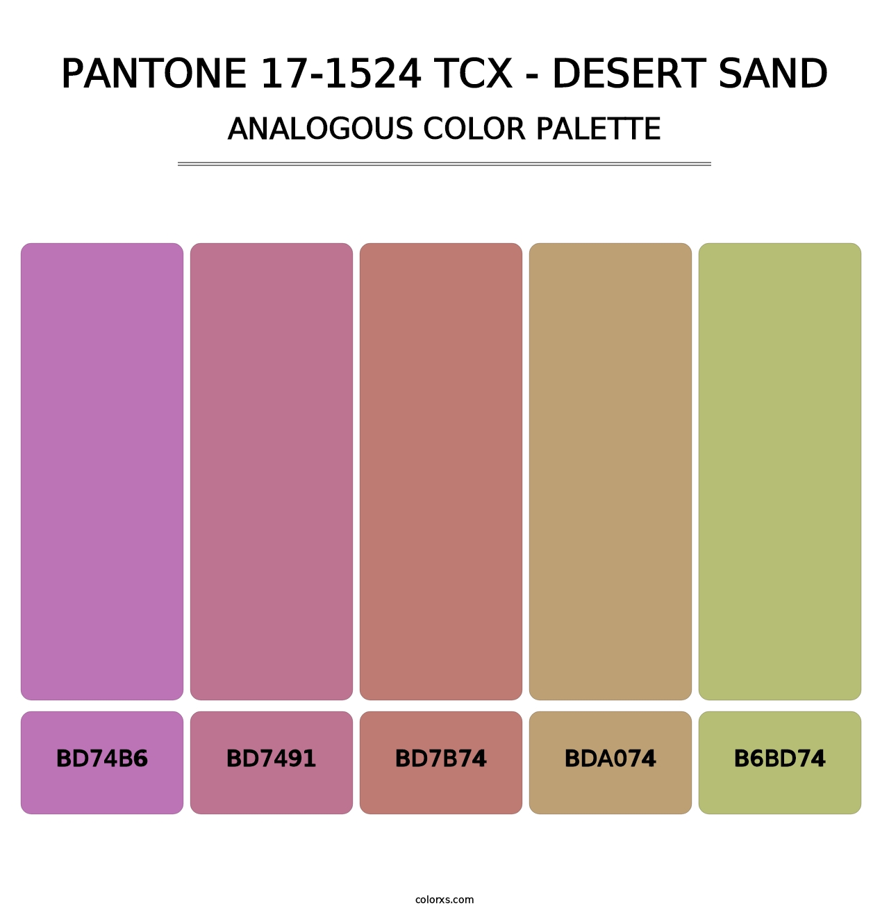 PANTONE 17-1524 TCX - Desert Sand - Analogous Color Palette