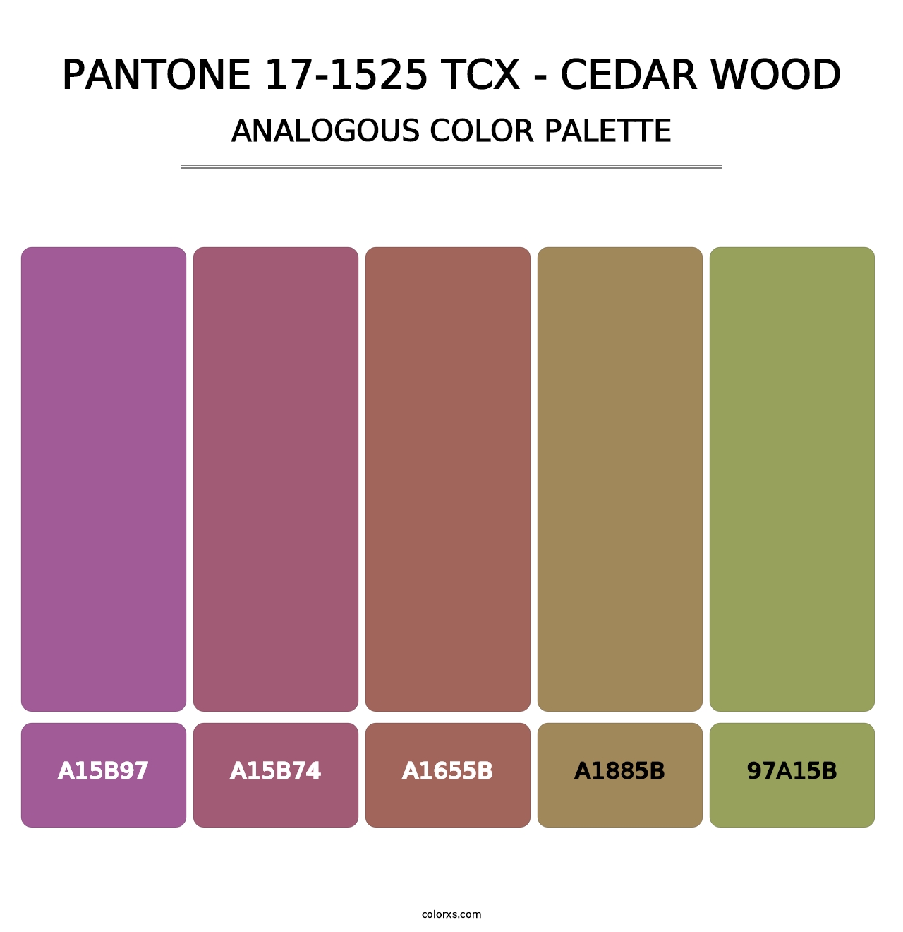 PANTONE 17-1525 TCX - Cedar Wood - Analogous Color Palette