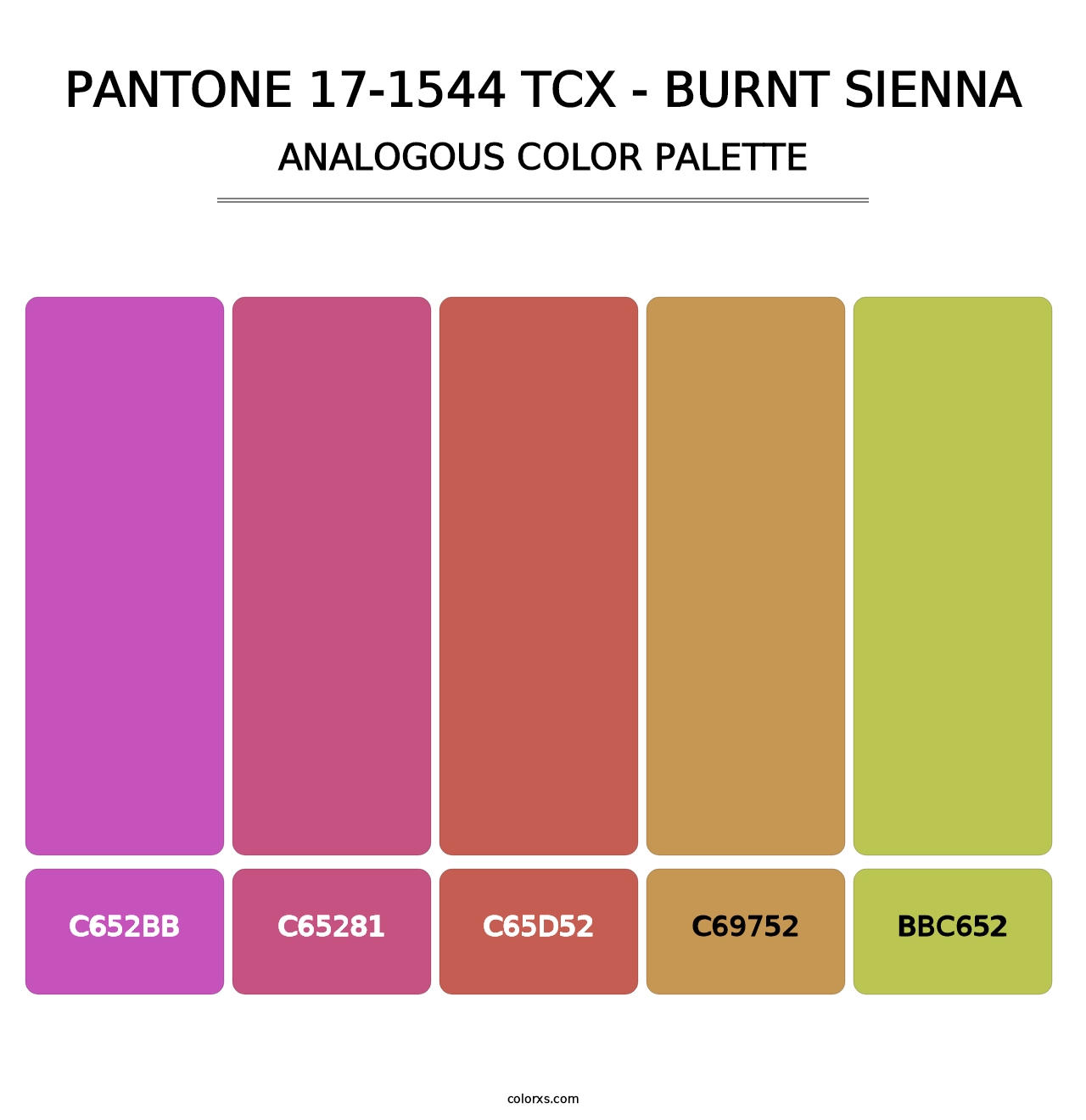 PANTONE 17-1544 TCX - Burnt Sienna - Analogous Color Palette