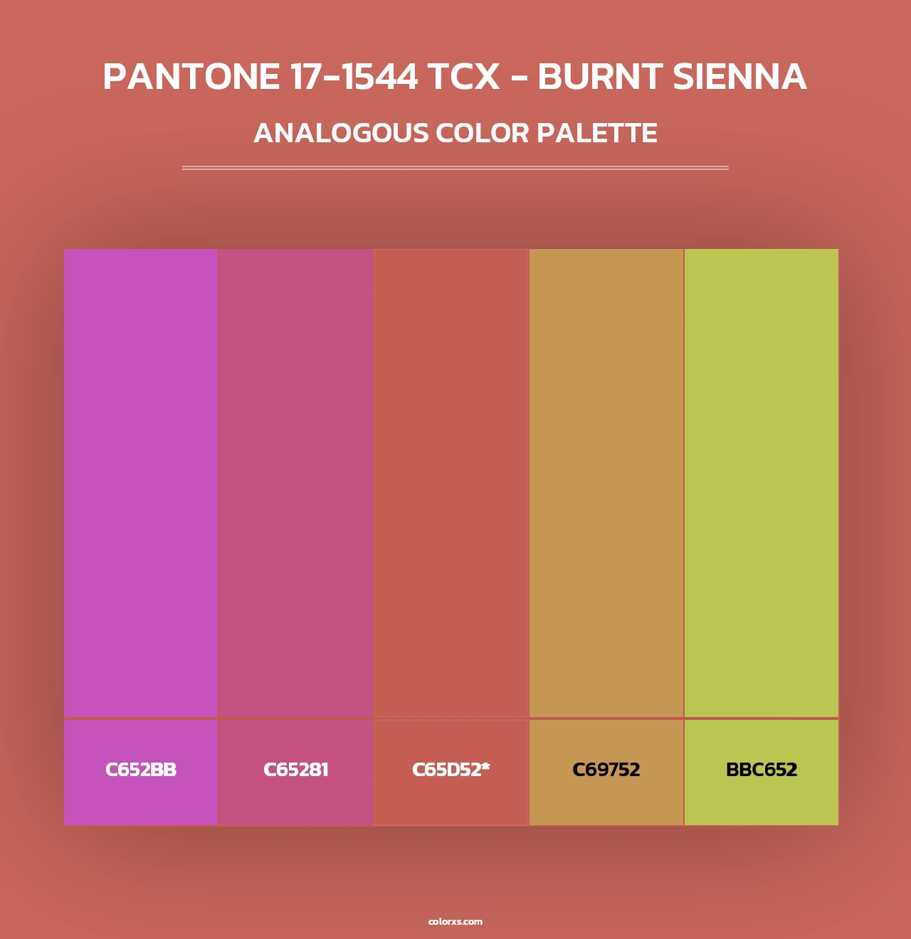 PANTONE 17-1544 TCX - Burnt Sienna - Analogous Color Palette