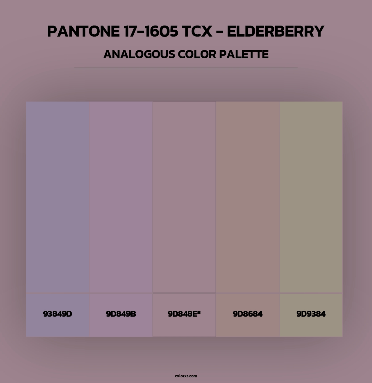 PANTONE 17-1605 TCX - Elderberry - Analogous Color Palette
