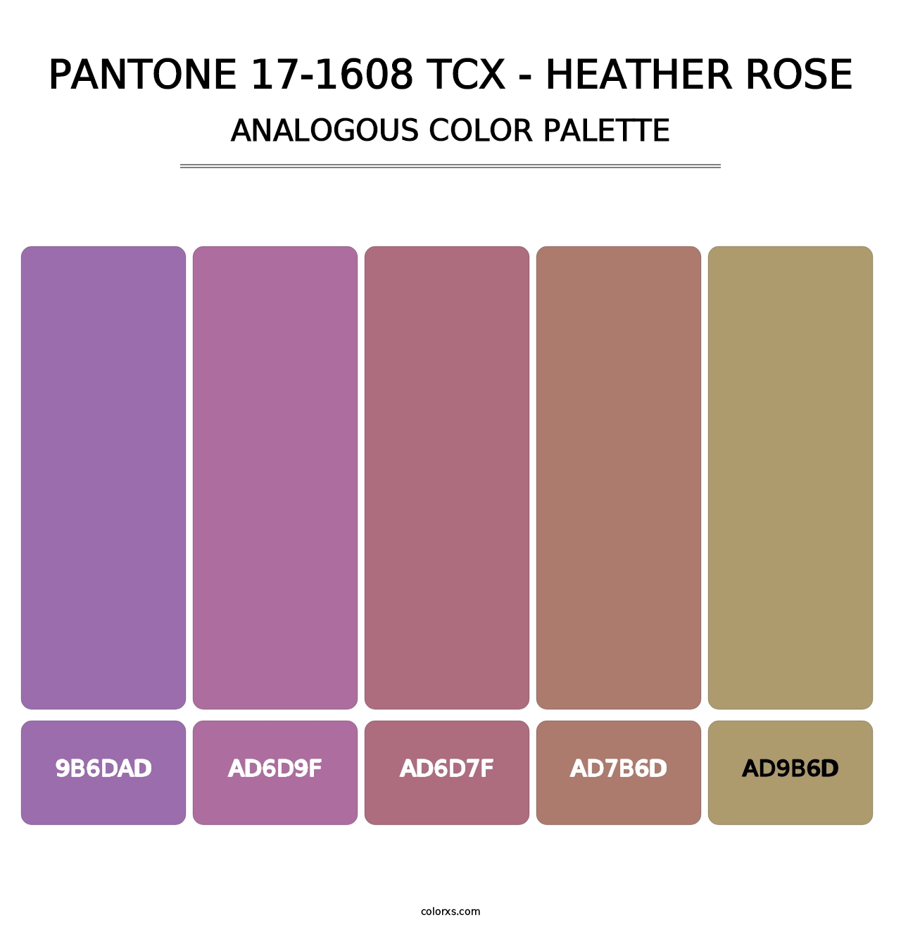 PANTONE 17-1608 TCX - Heather Rose - Analogous Color Palette