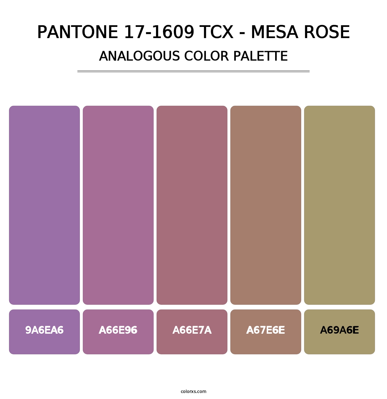 PANTONE 17-1609 TCX - Mesa Rose - Analogous Color Palette