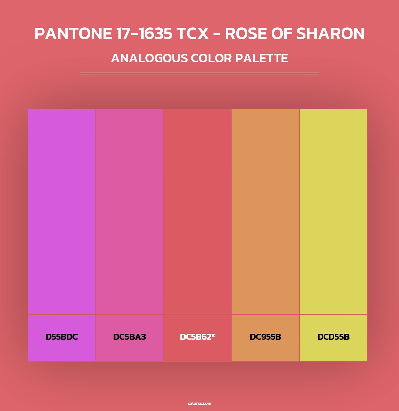 PANTONE 17-1635 TCX - Rose of Sharon - Analogous Color Palette
