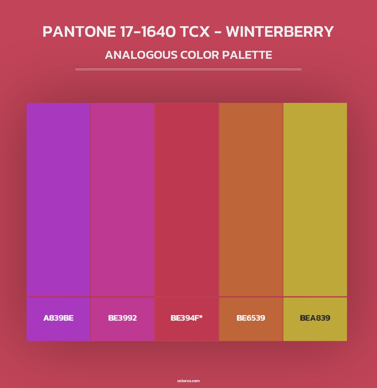 PANTONE 17-1640 TCX - Winterberry - Analogous Color Palette