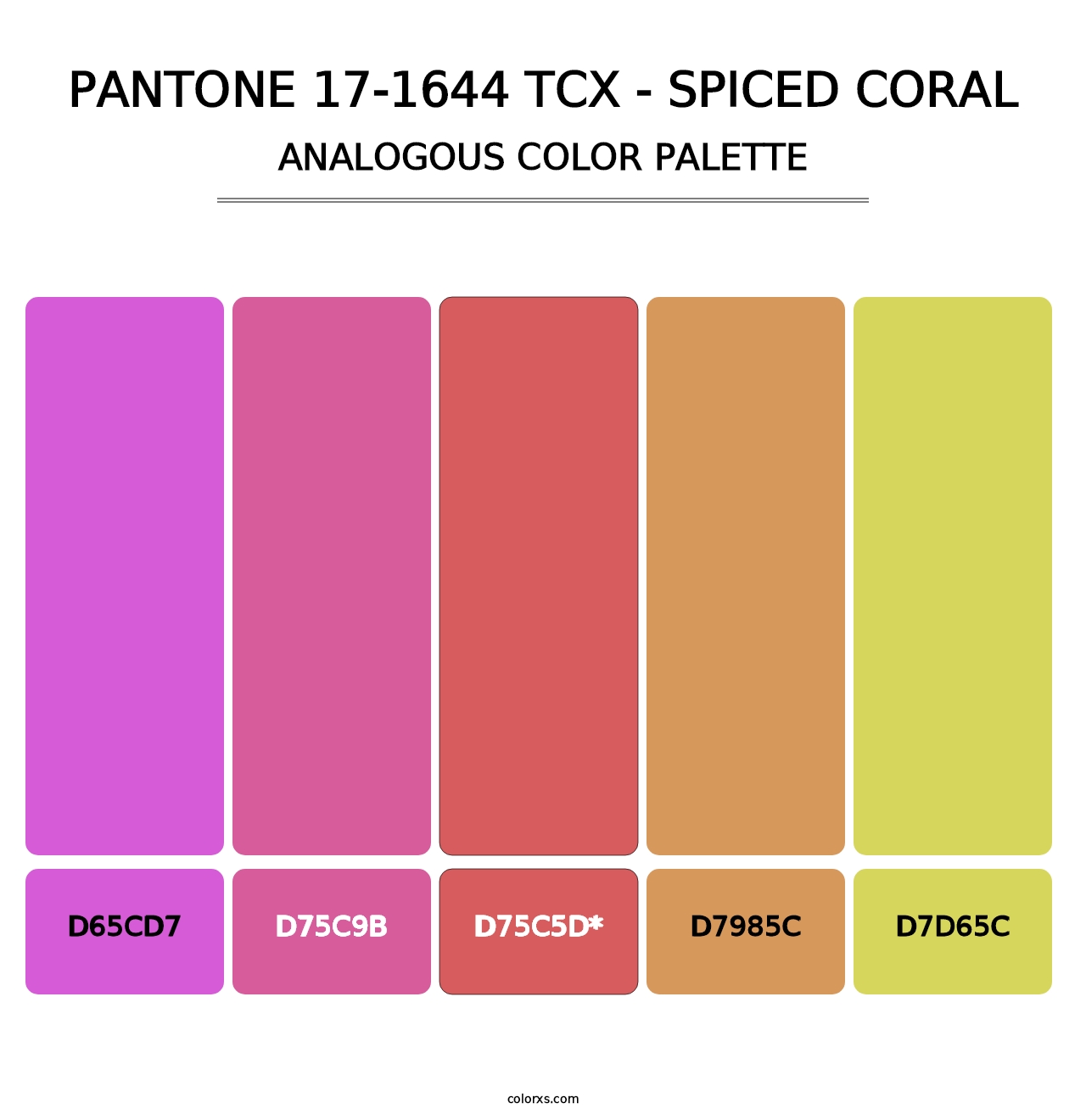 PANTONE 17-1644 TCX - Spiced Coral - Analogous Color Palette