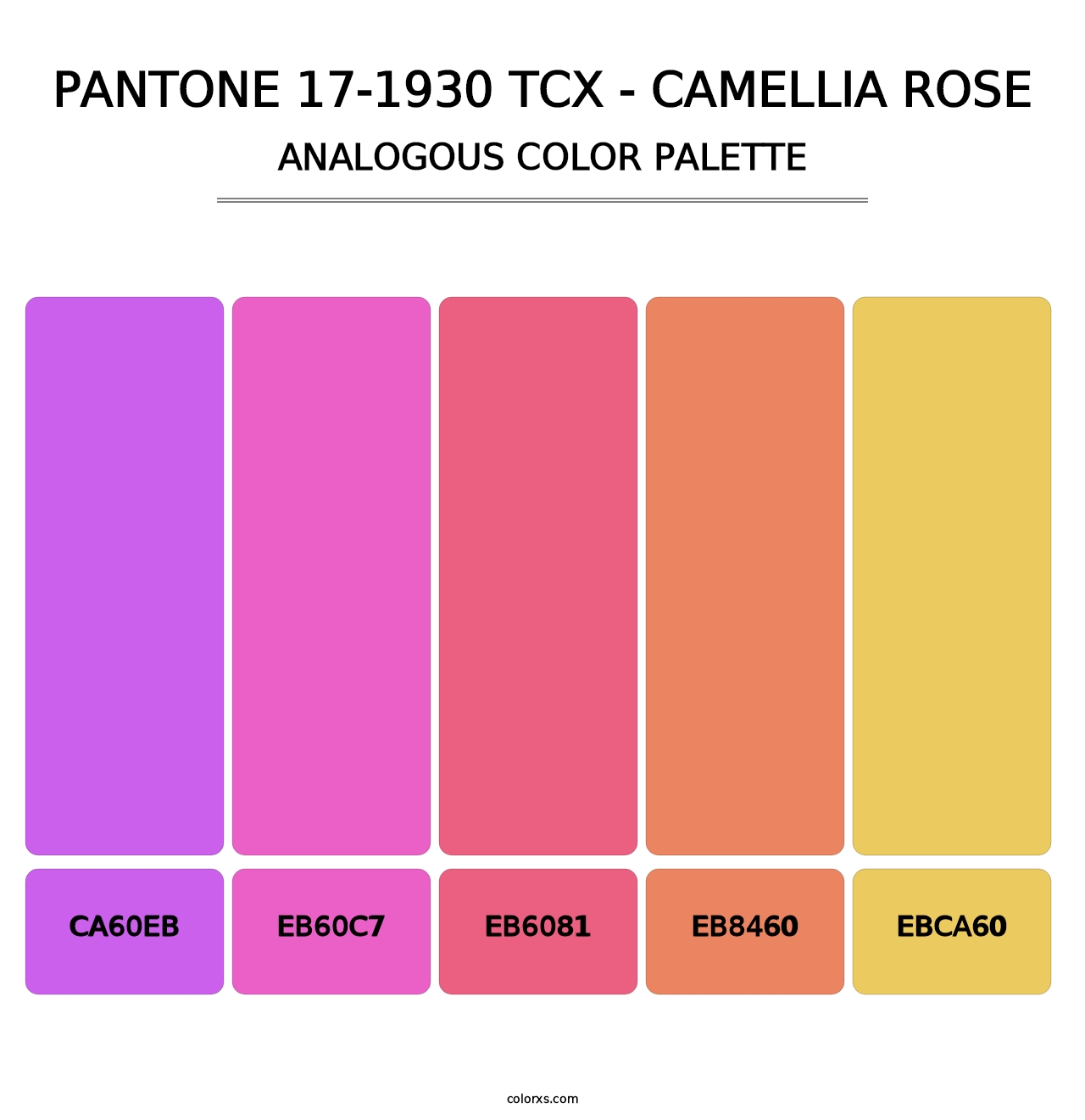 PANTONE 17-1930 TCX - Camellia Rose - Analogous Color Palette