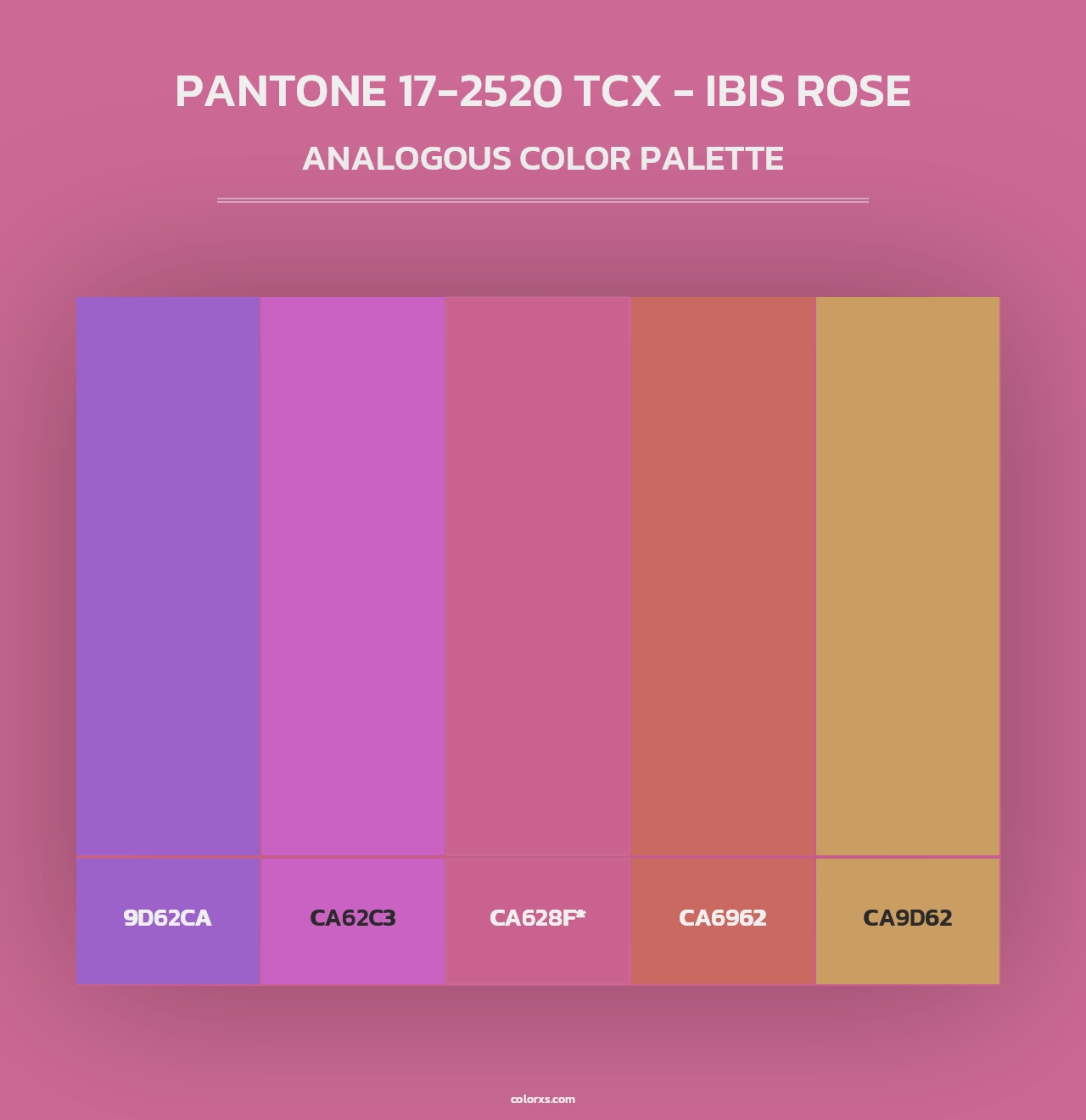 PANTONE 17-2520 TCX - Ibis Rose - Analogous Color Palette