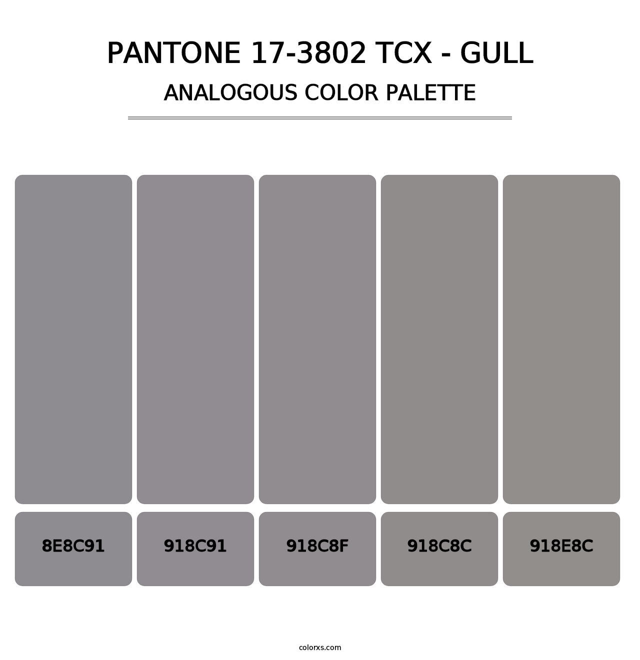 PANTONE 17-3802 TCX - Gull - Analogous Color Palette