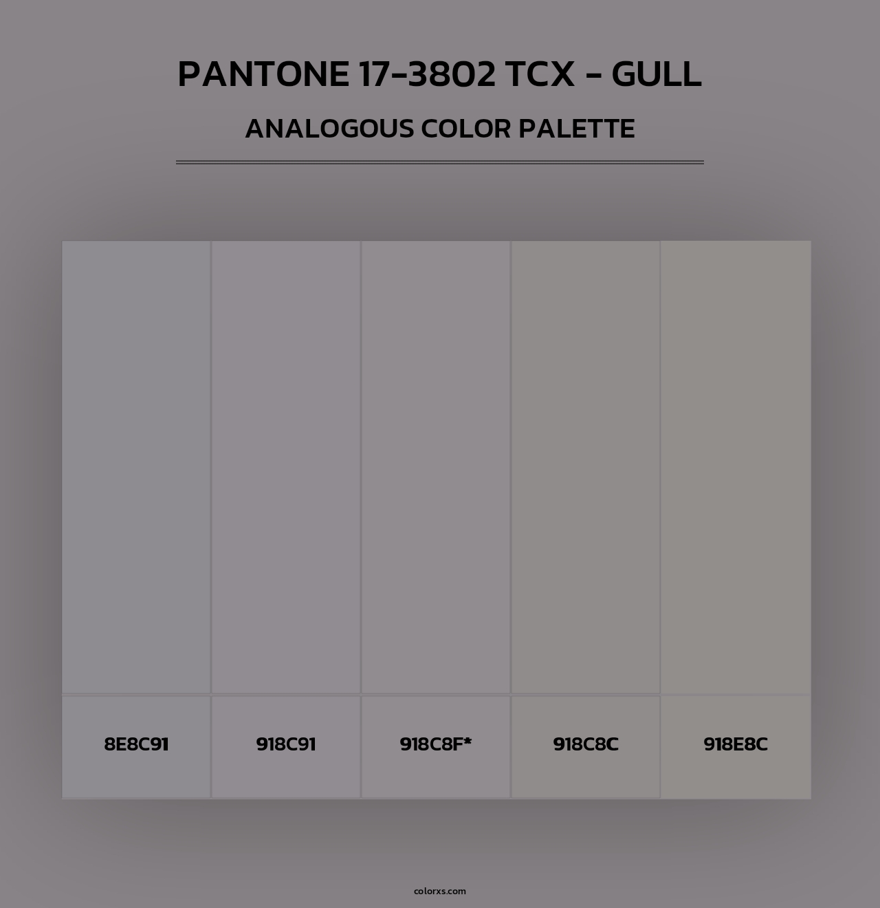 PANTONE 17-3802 TCX - Gull - Analogous Color Palette