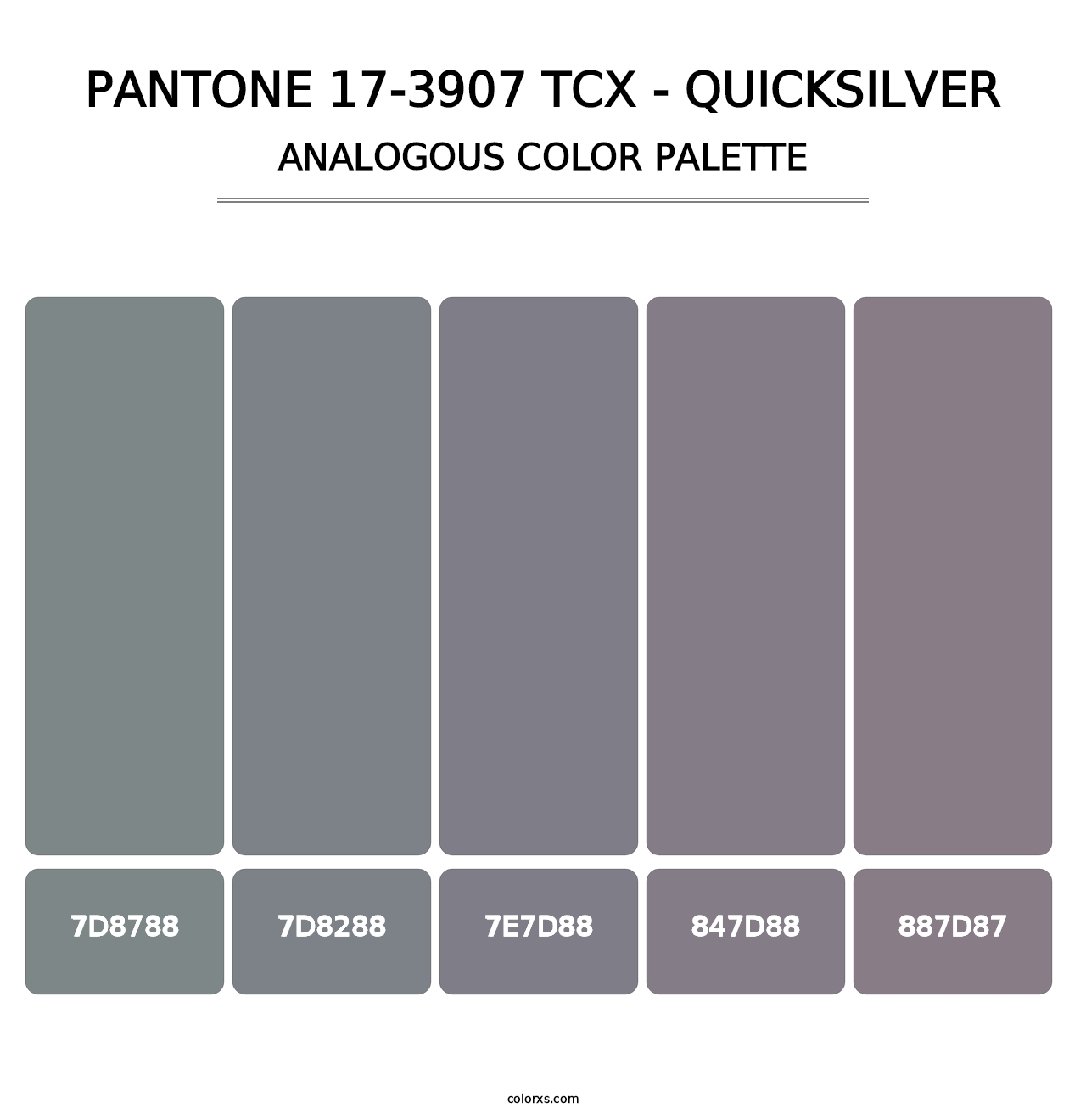 PANTONE 17-3907 TCX - Quicksilver - Analogous Color Palette