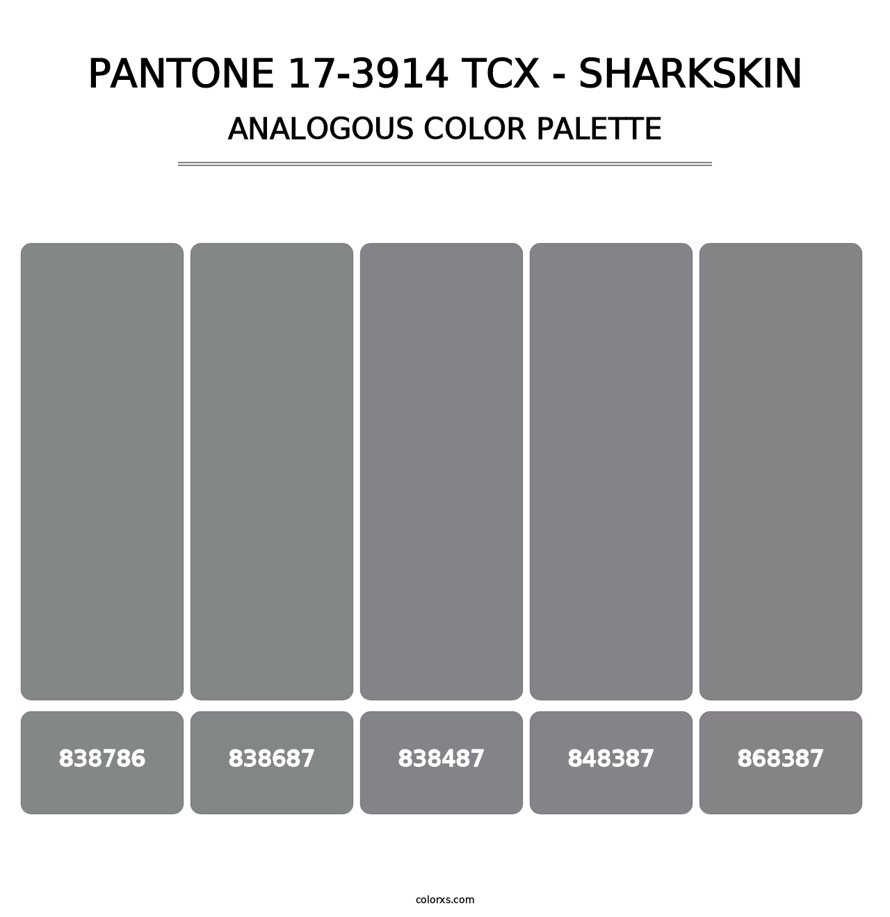 PANTONE 17-3914 TCX - Sharkskin - Analogous Color Palette