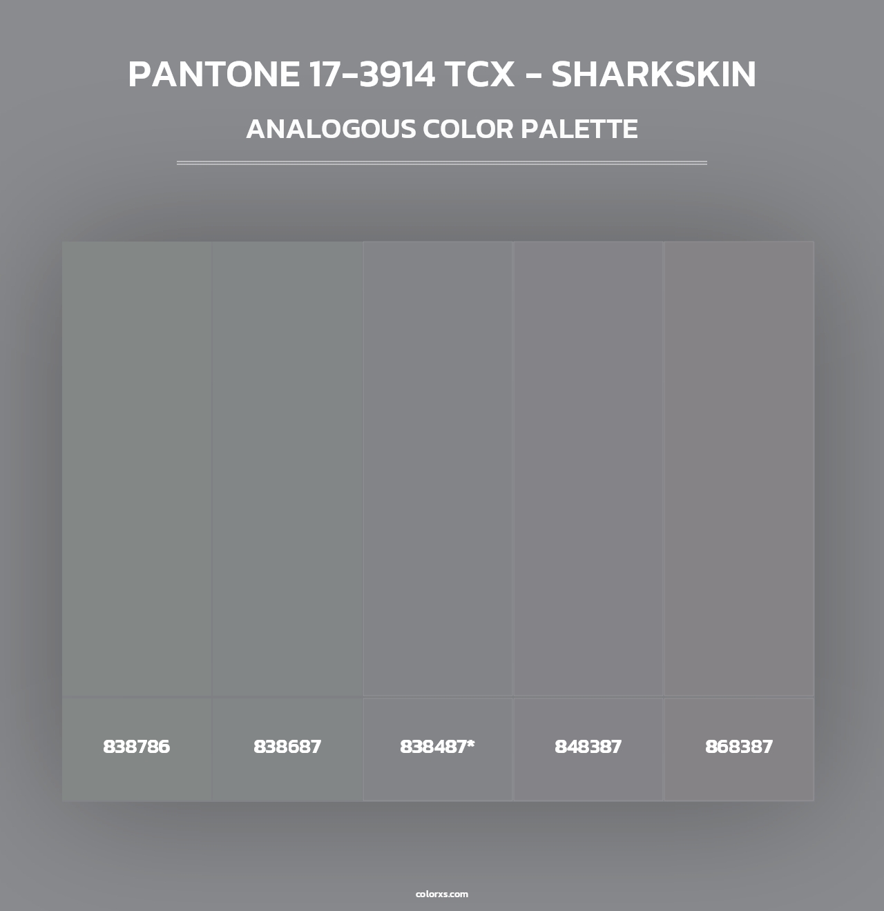 PANTONE 17-3914 TCX - Sharkskin - Analogous Color Palette