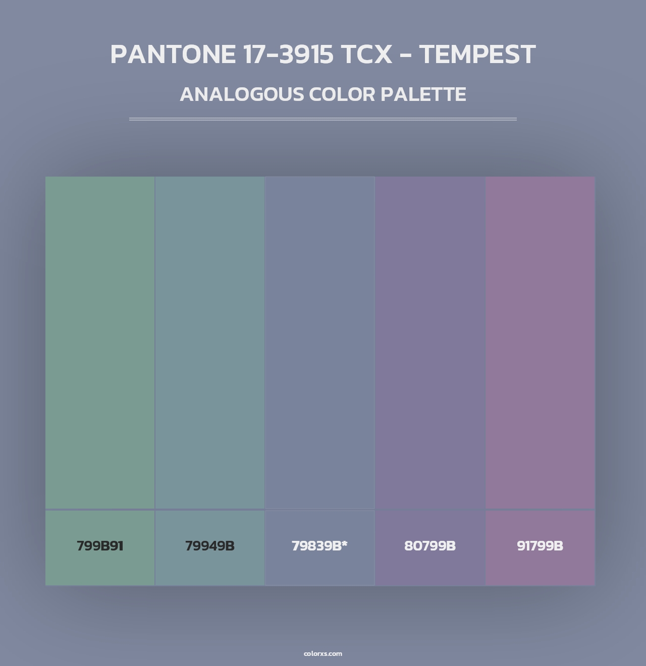PANTONE 17-3915 TCX - Tempest - Analogous Color Palette