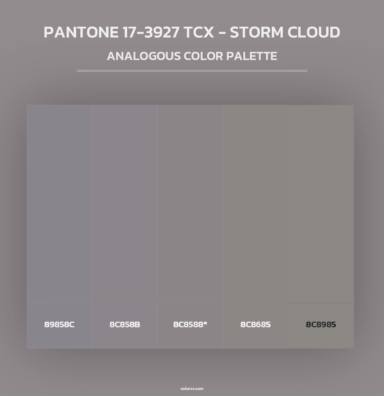 PANTONE 17-3927 TCX - Storm Cloud - Analogous Color Palette