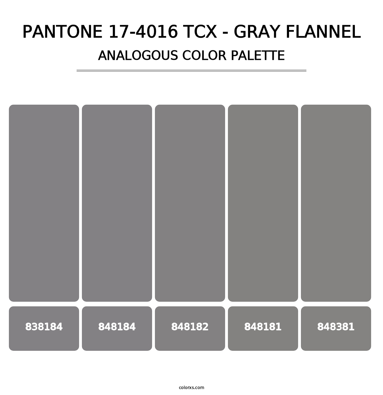 PANTONE 17-4016 TCX - Gray Flannel - Analogous Color Palette