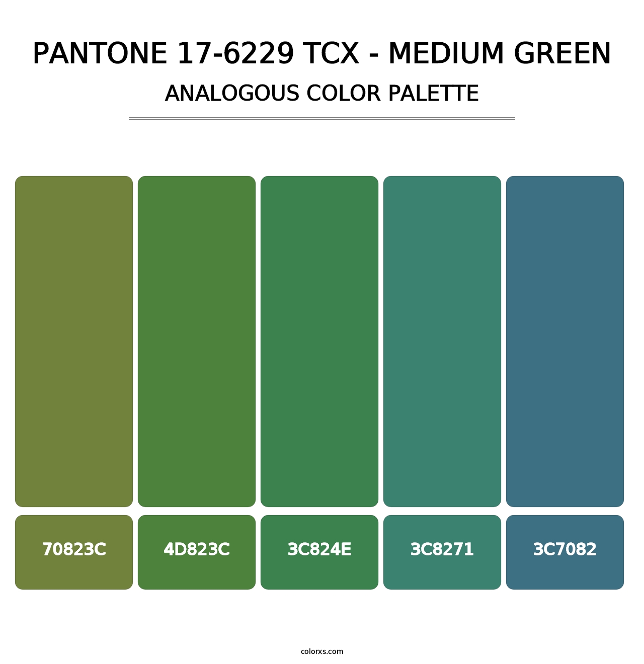 PANTONE 17-6229 TCX - Medium Green - Analogous Color Palette